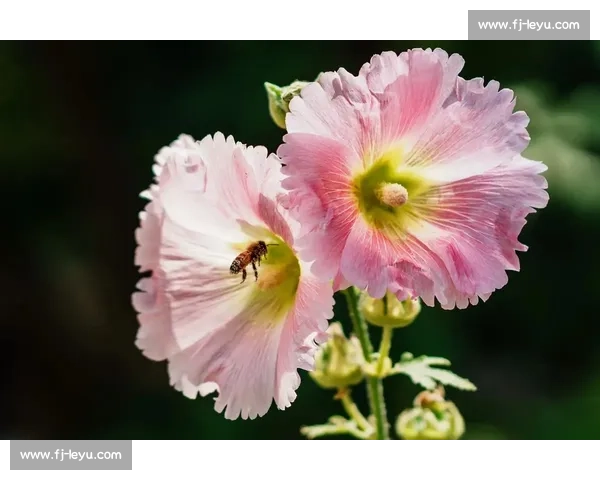 怪姿出片：解锁创意摄影新姿势