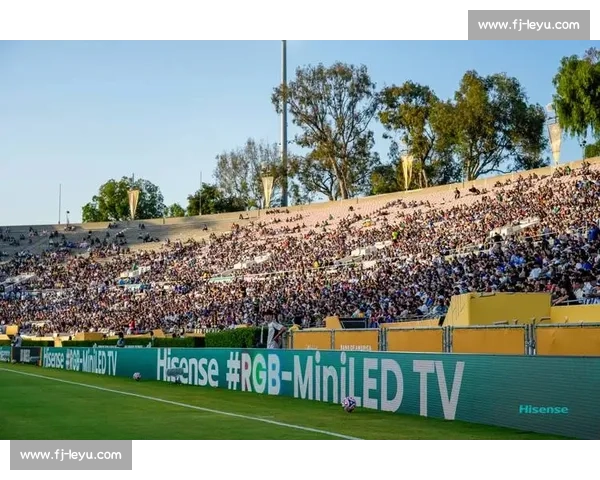 弗鲁米嫩塞击溃欧冠亚军，阿里亚斯：巴西足球今夜无眠！